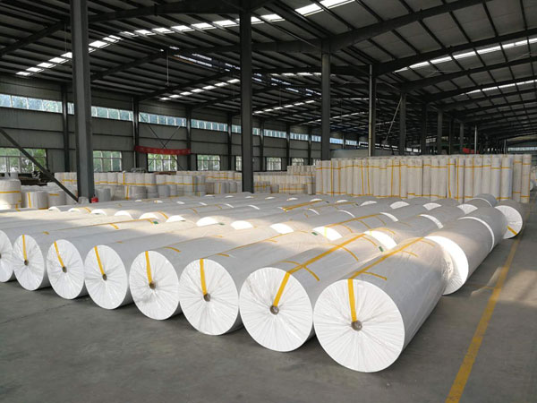 忻州狭缝式涤纶纺粘无纺布